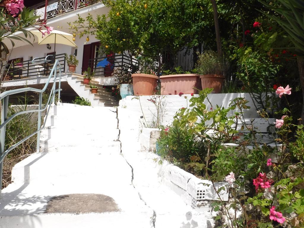 Appartement Delfini Bay Retreat à Vasiliki Extérieur photo