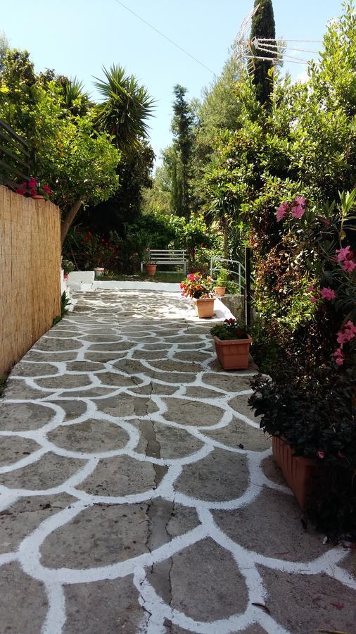 Appartement Delfini Bay Retreat à Vasiliki Extérieur photo